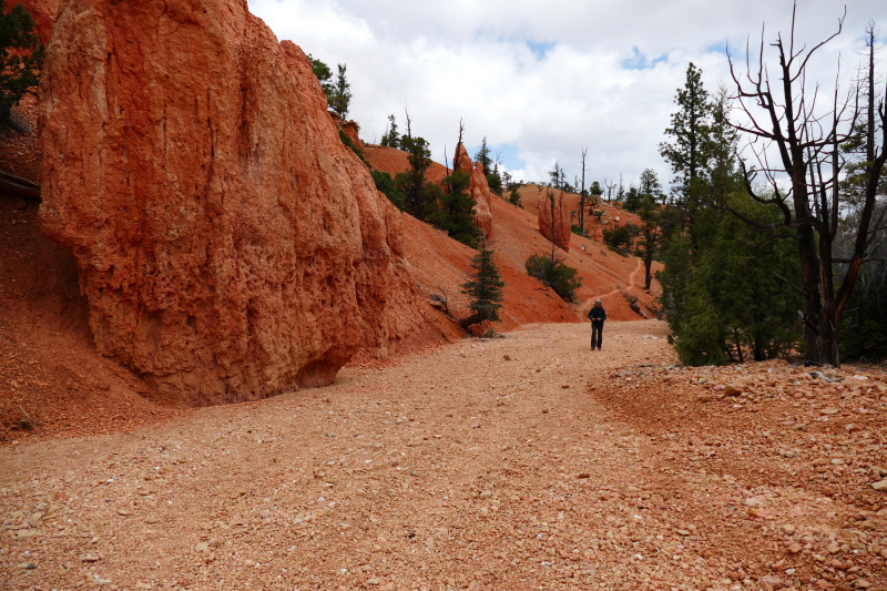 Buckhorn - Golden Wall - Castle Bridge Loop [Red Canyon]