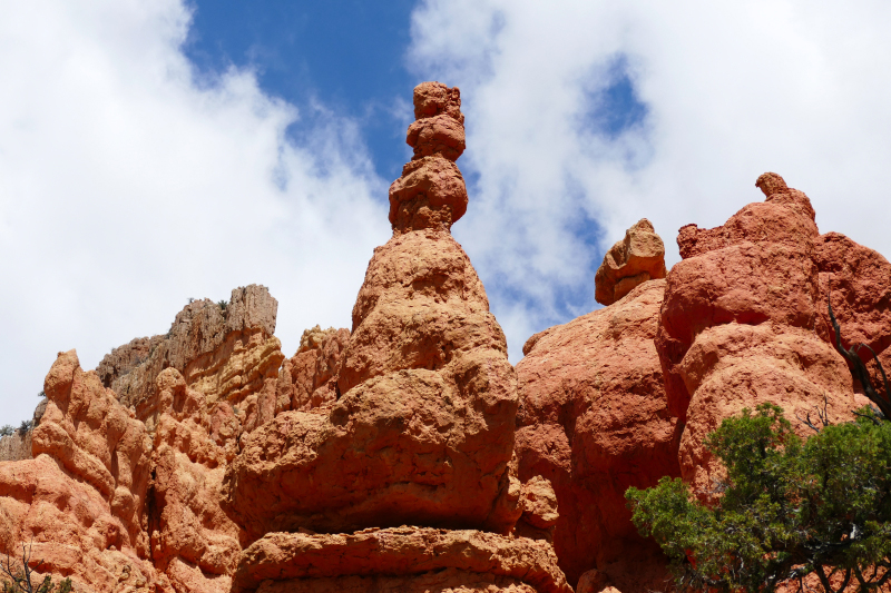 Buckhorn - Golden Wall - Castle Bridge Loop [Red Canyon]