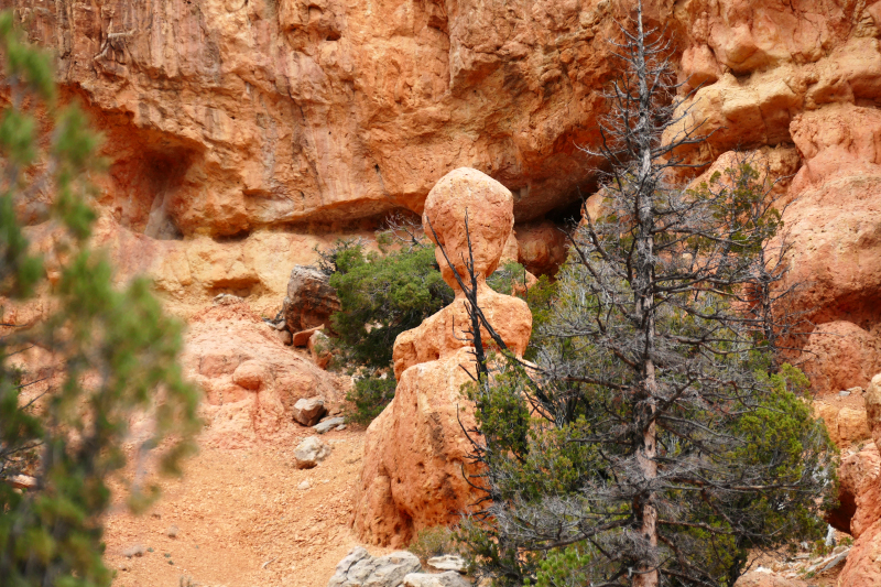 Buckhorn - Golden Wall - Castle Bridge Loop [Red Canyon]