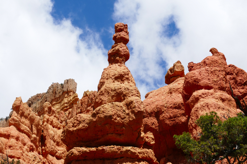 Buckhorn - Golden Wall - Castle Bridge Loop [Red Canyon]