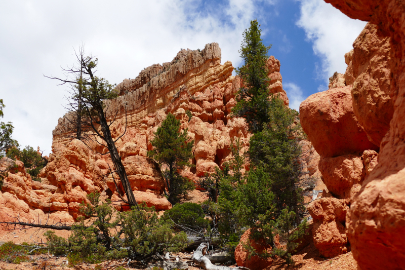 Buckhorn - Golden Wall - Castle Bridge Loop [Red Canyon]