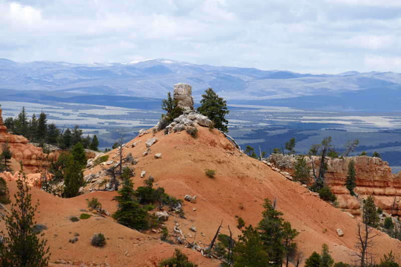 Buckhorn - Golden Wall - Castle Bridge Loop [Red Canyon]