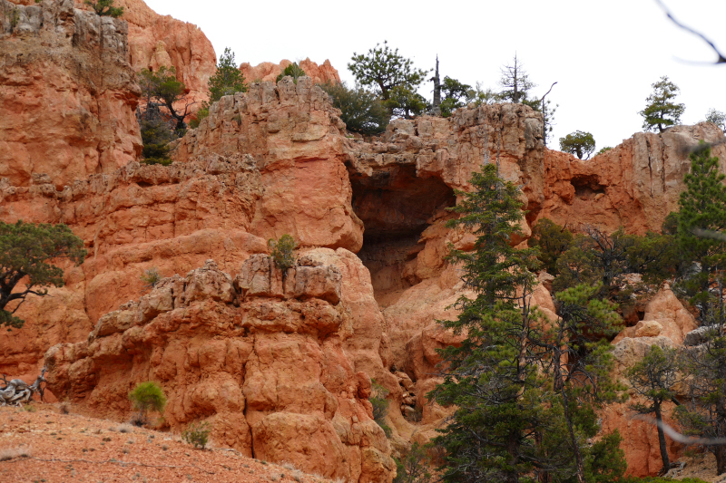 Buckhorn - Golden Wall - Castle Bridge Loop [Red Canyon]