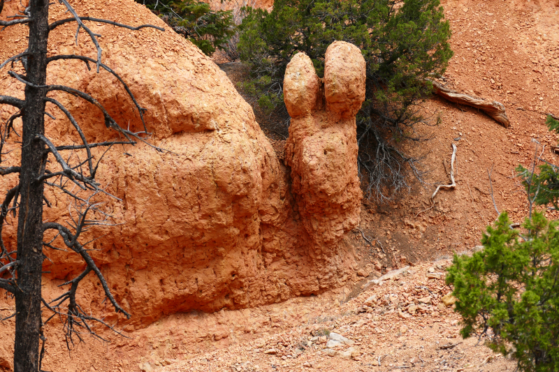Buckhorn - Golden Wall - Castle Bridge Loop [Red Canyon]