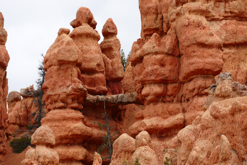 Buckhorn - Golden Wall - Castle Bridge Loop [Red Canyon]