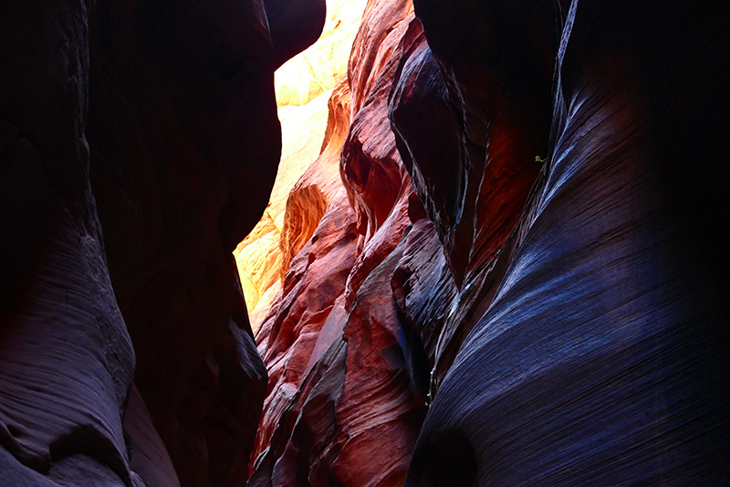 Buckskin Gulch