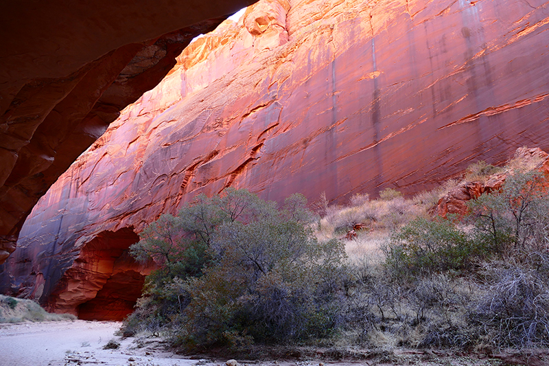 Buckskin Gulch