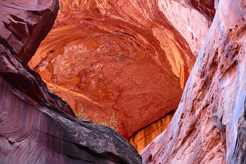 Buckskin Gulch