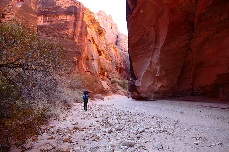 Buckskin Gulch