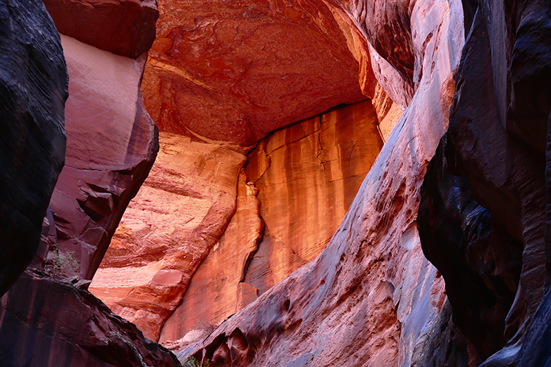 Buckskin Gulch