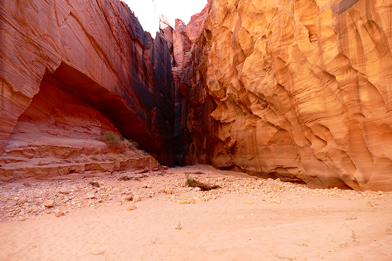 Buckskin Gulch