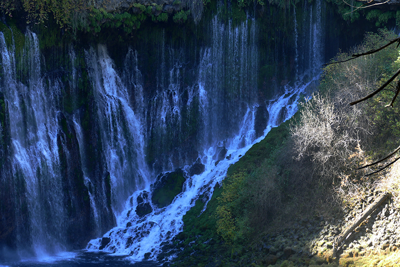 Falls Loop Trail [McArthur - Burney Falls Memorial State Park]