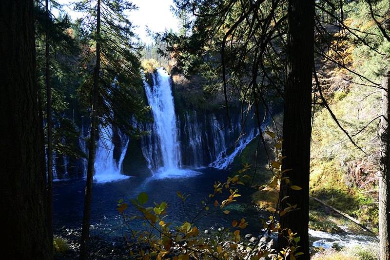 McArthur - Burney Falls Memorial State Park