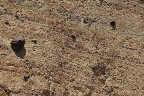 Burro Mesa Pouroff East [Big Bend National Park]