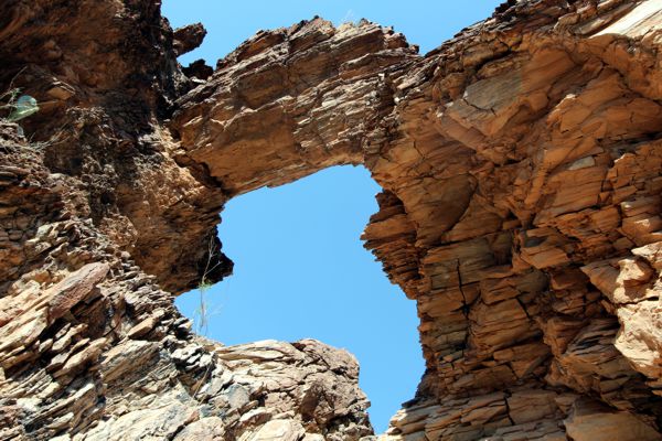 Burro Mesa Pouroff Window [Big Bend National Park]