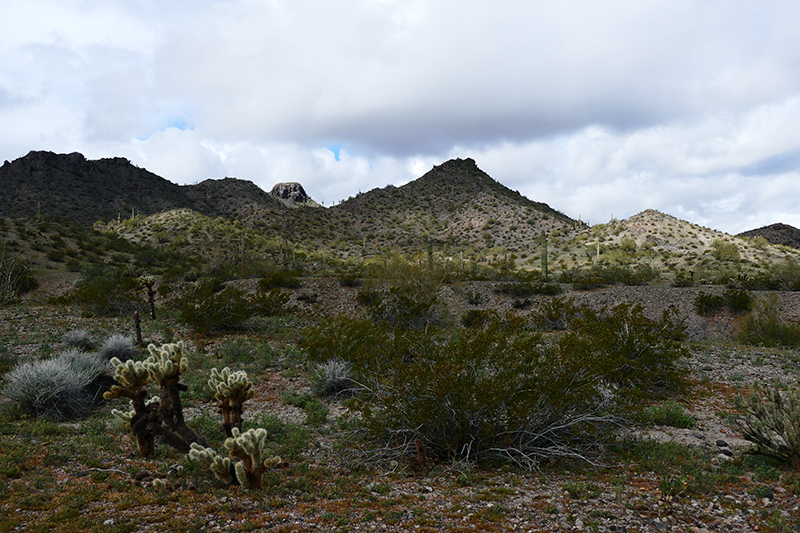 Estrella Mountains Regional Park [Avondale]