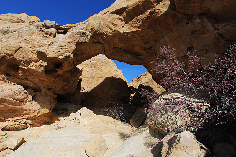 Caballo Canyon Arch