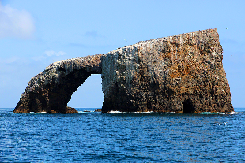 Anacapa Island [Channel Islands National Park]