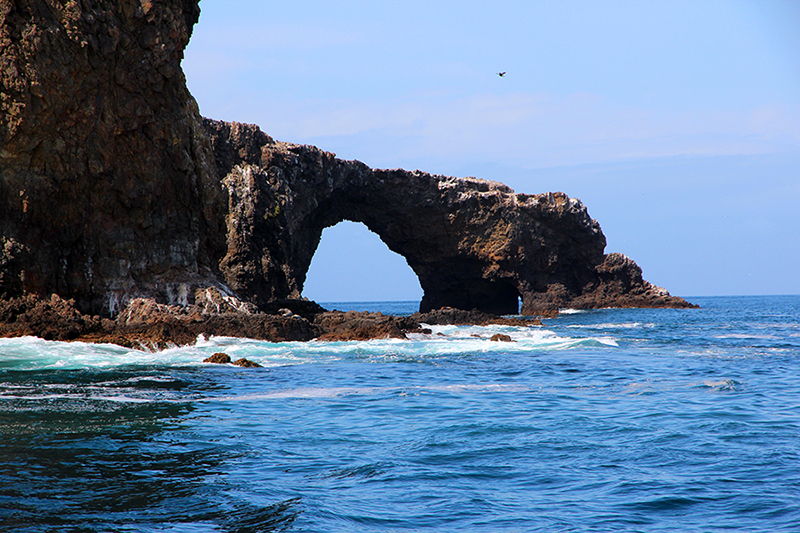 Arch Rock aka. Cabrillo Arch [Anacapa Island - Channel Islands National Park]