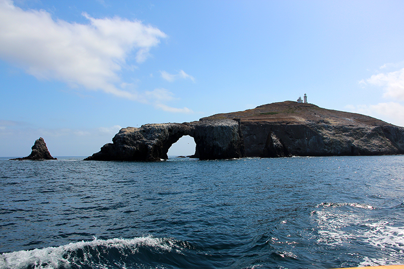 Arch Rock aka. Cabrillo Arch [Anacapa Island - Channel Islands National Park]