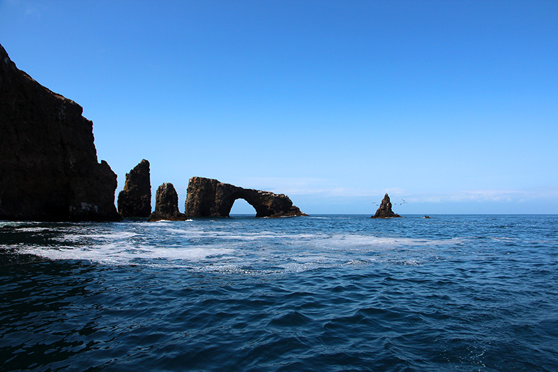 Cabrillo Arch Rock House of Pelicane