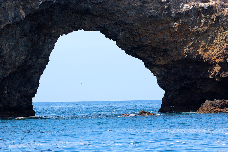 Arch Rock aka. Cabrillo Arch [Anacapa Island - Channel Islands National Park]