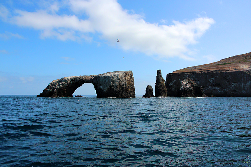 Arch Rock aka. Cabrillo Arch [Anacapa Island - Channel Islands National Park]