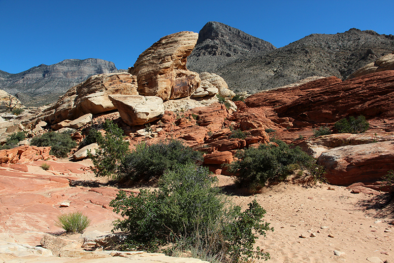 Calico Tanks Red Rock Canyon