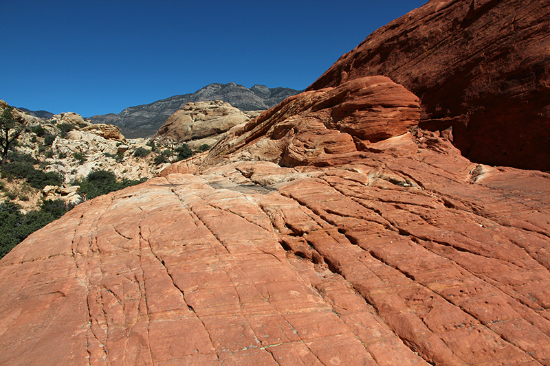 Calico Tanks Red Rock Canyon