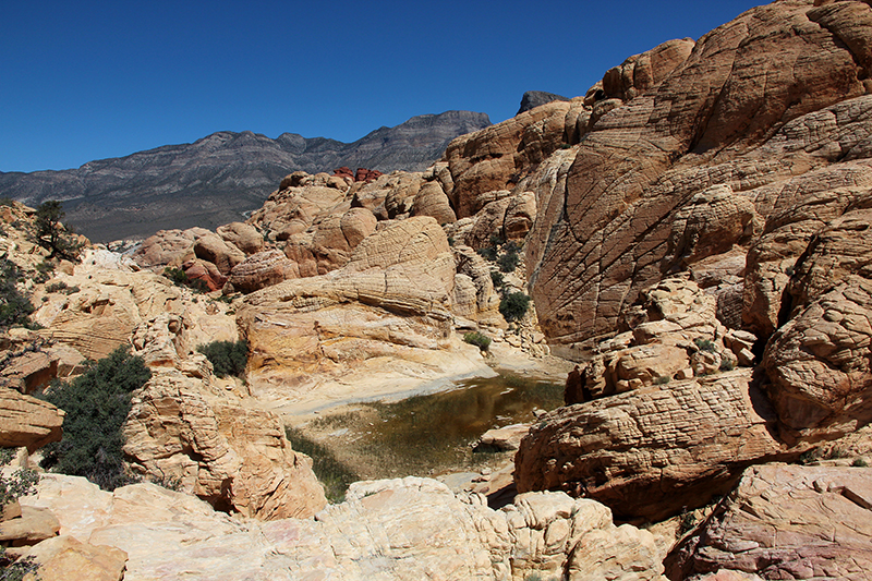 Calico Tanks Red Rock Canyon