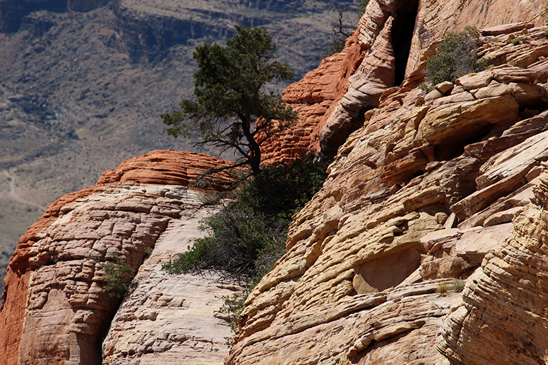 Calico Tanks Red Rock Canyon