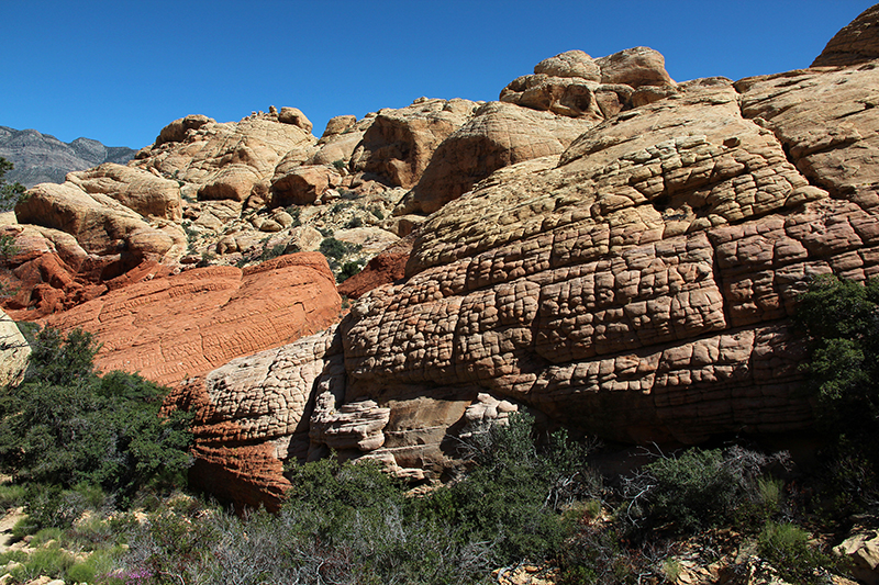 Calico Tanks Red Rock Canyon