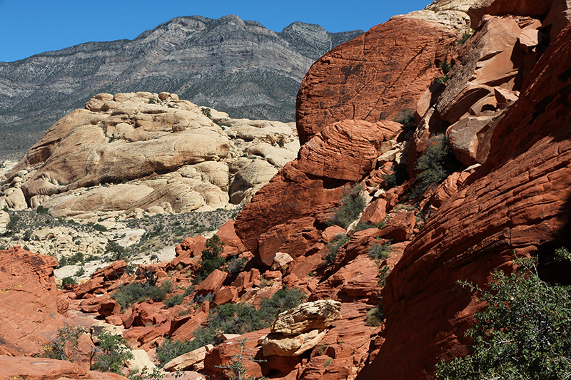 Calico Tanks Red Rock Canyon