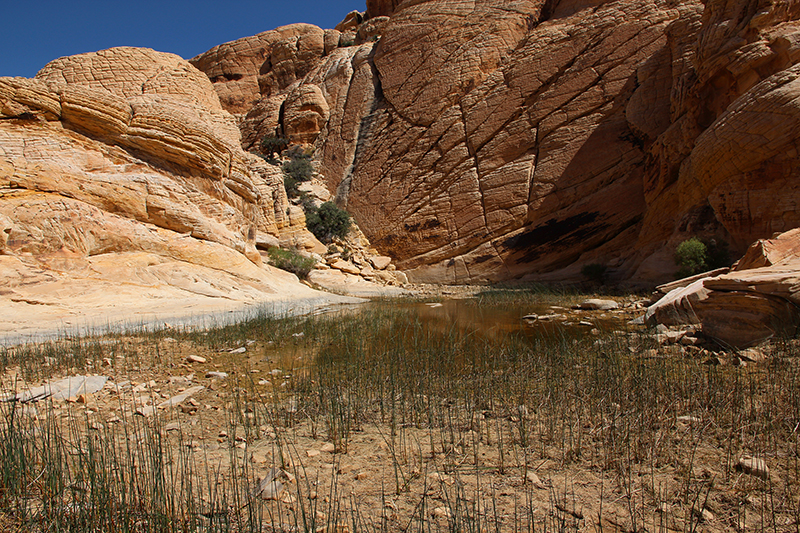 Calico Tanks Red Rock Canyon