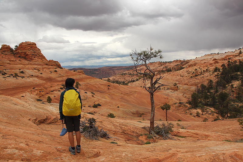 Canaan Mountain [Vermilion Cliffs], Utah