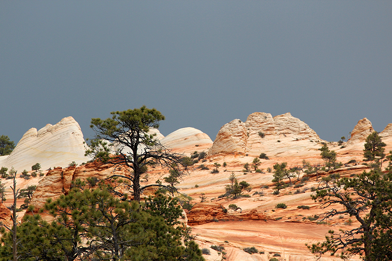 White Domes Canaan Mountain Sommer [Canaan Mountain]