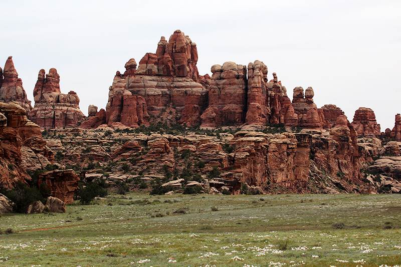 Canyonlands Needles