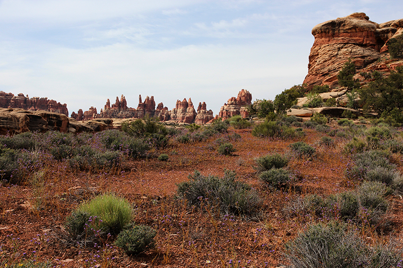 Canyonlands Needles