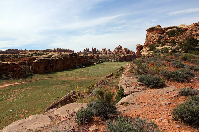 Canyonlands National Park Needles District