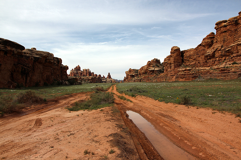 Canyonlands National Park Needles District