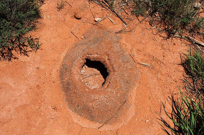 Caprock Canyons State Park Texas