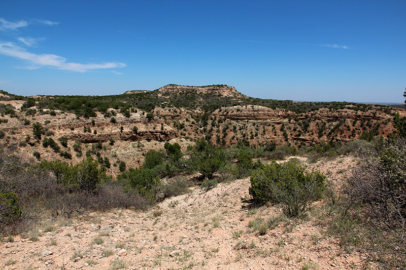 Caprock Canyons State Park Texas