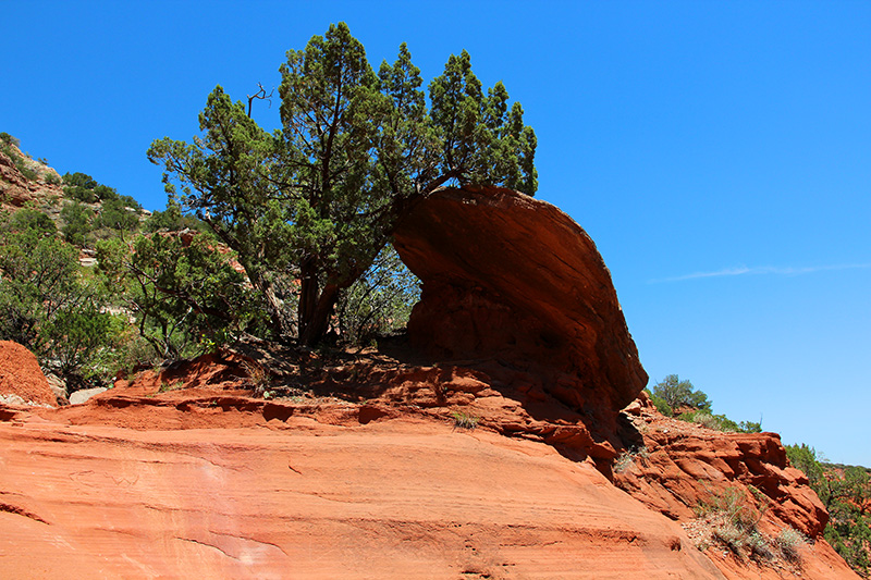 Caprock Canyons State Park Texas