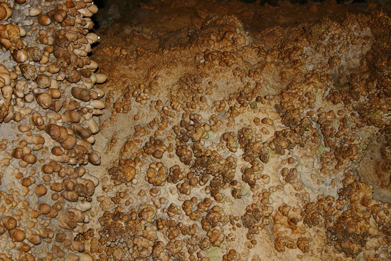 Carlsbad Caverns National Park