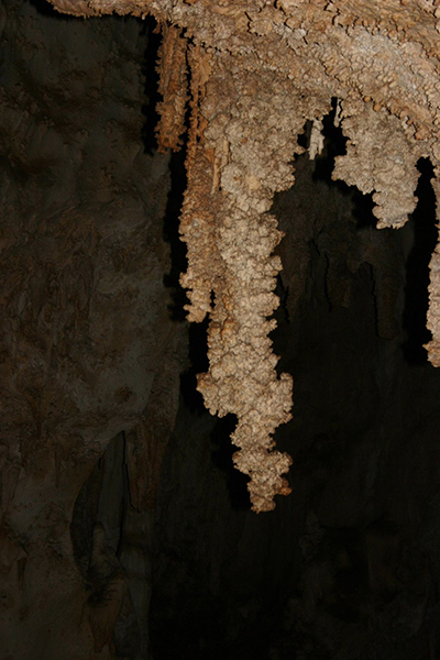 Carlsbad Caverns National Park