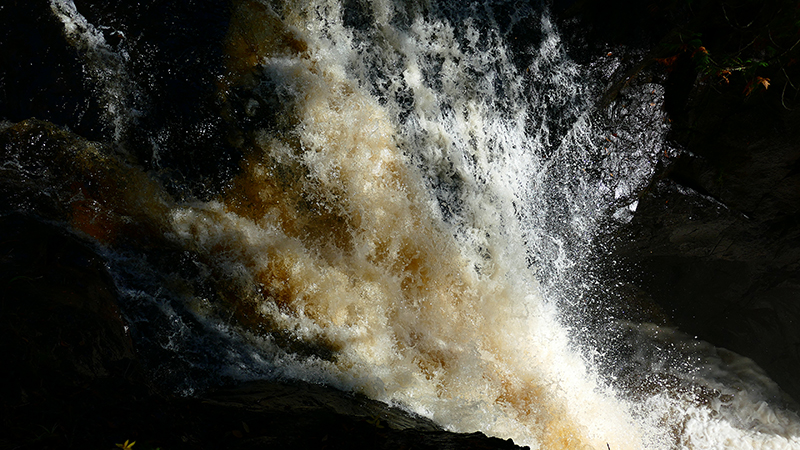 Cascade Falls [Cascade River State Park]
