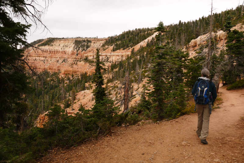 Cascade Falls [Pink Cliffs]