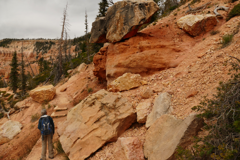 Cascade Falls [Pink Cliffs]