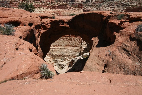 Cassidy Arch [Capitol Reef National Park]