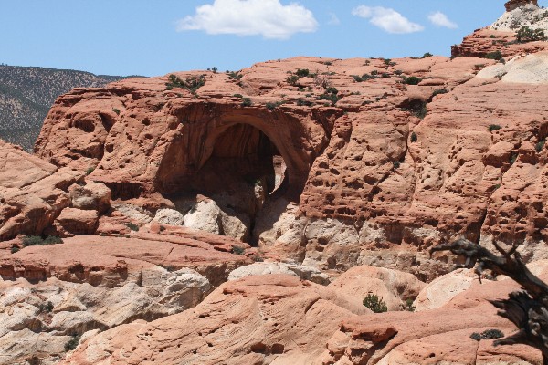 Cassidy Arch [Capitol Reef National Park]